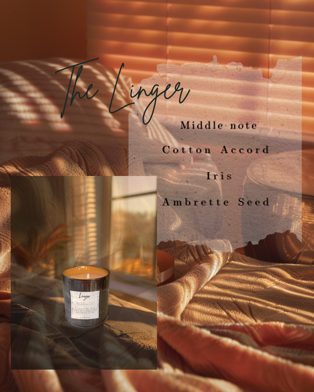 Linger candle in warm sunset light, middle notes Cotton Accord, Iris, Ambrette Seed